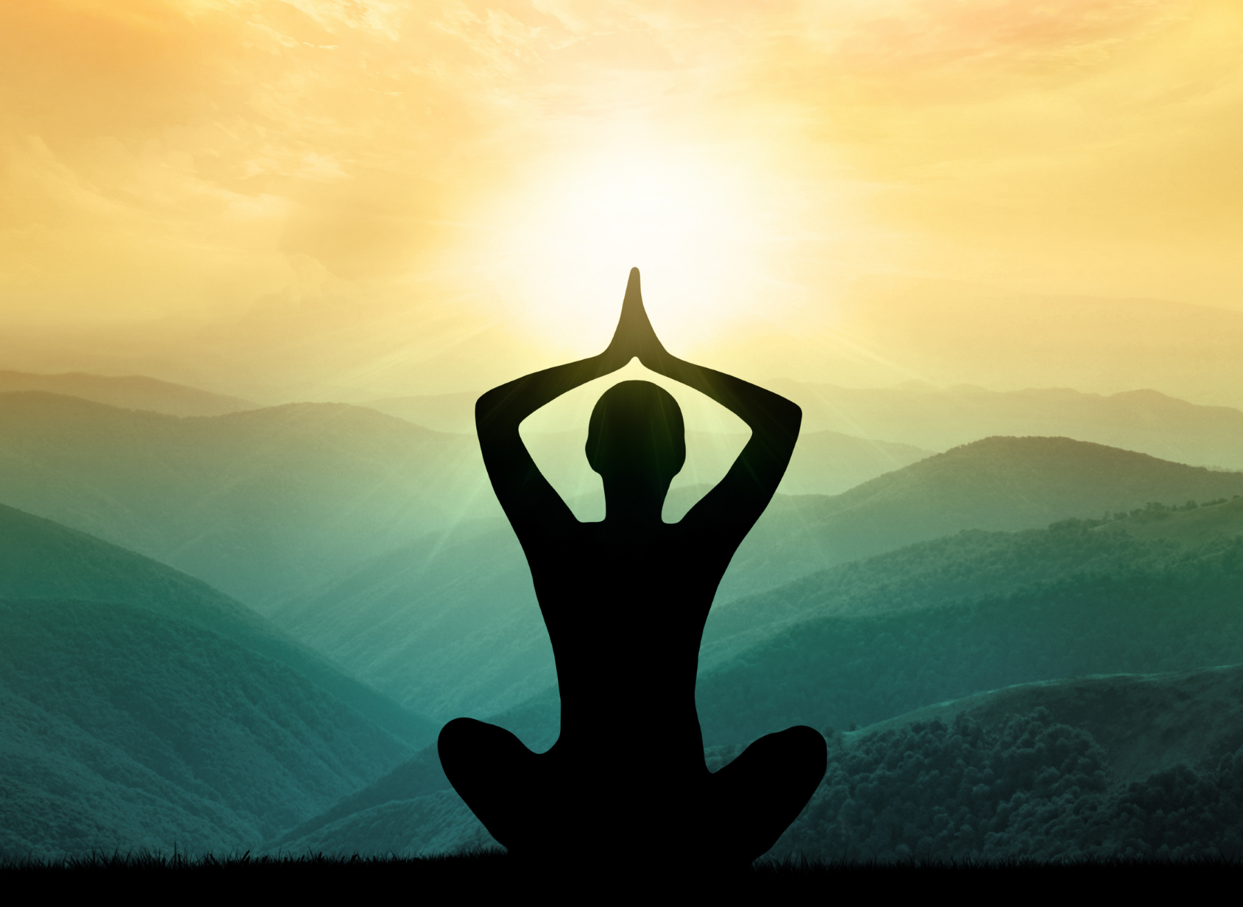 Mindfulness Research Programme